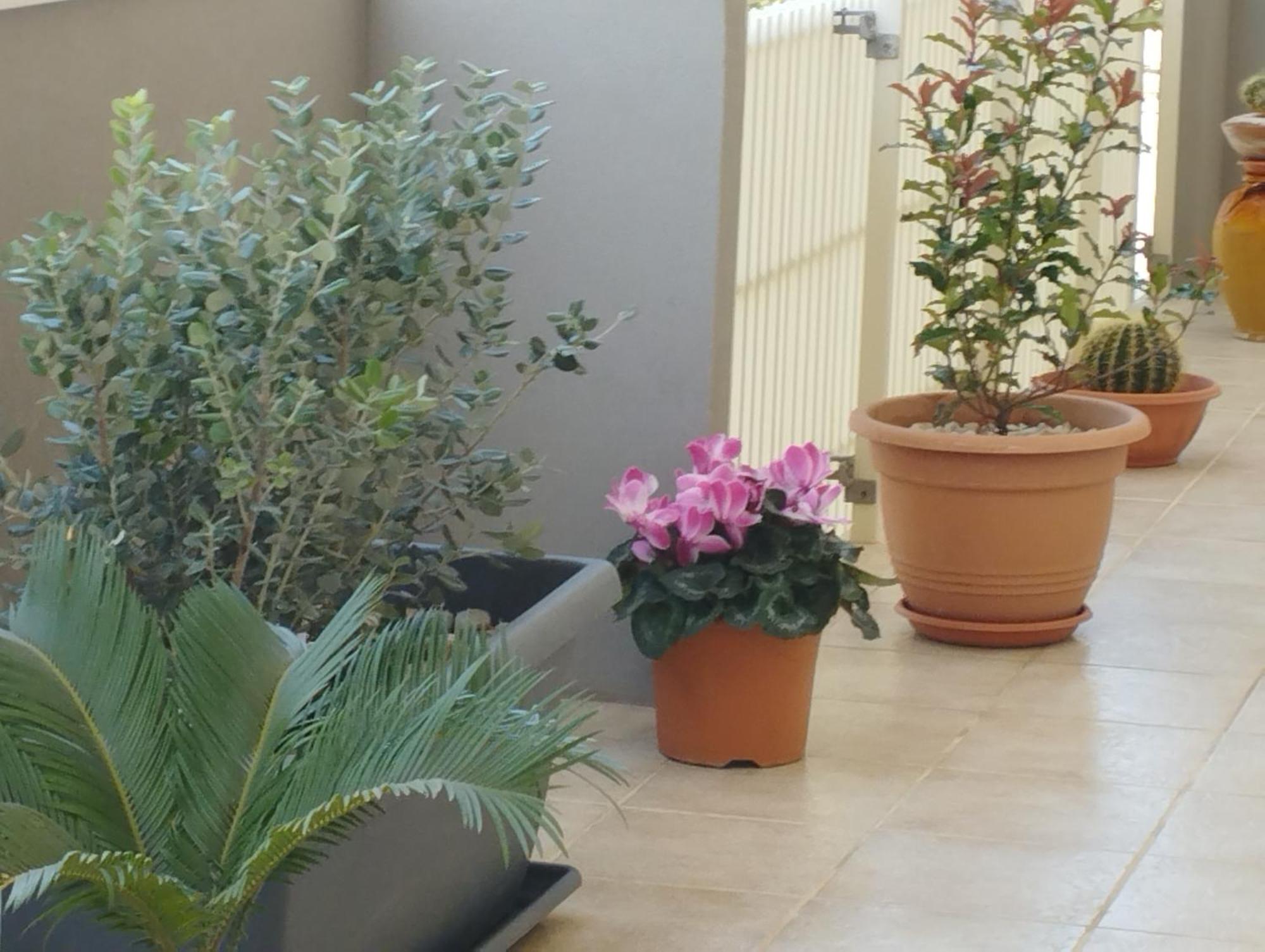 Da Luigi Locazioni Brevi Turistiche Bed & Breakfast Monopoli Phòng bức ảnh